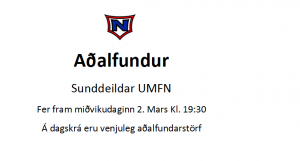 aðalfundur