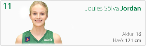 11-joules 11-joules
