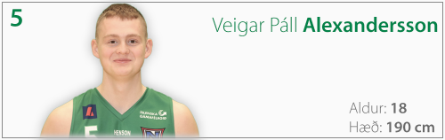 5-VeigarPall 5-VeigarPall